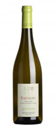 Sauvignon photo detouree 1